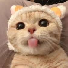 Irfan Maulana avatar