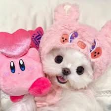 Devi Anggraini avatar