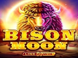 Bison Moon screenshot