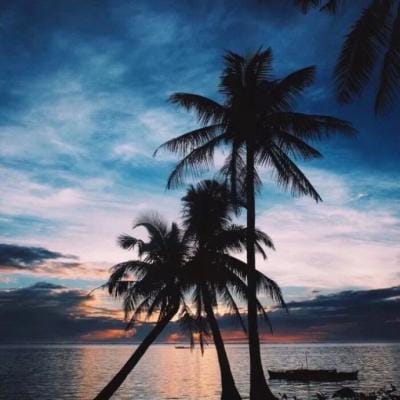 Putri Handayani avatar